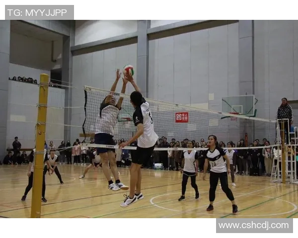 南京排球队在联合会杯中的状态表现分析与未来展望