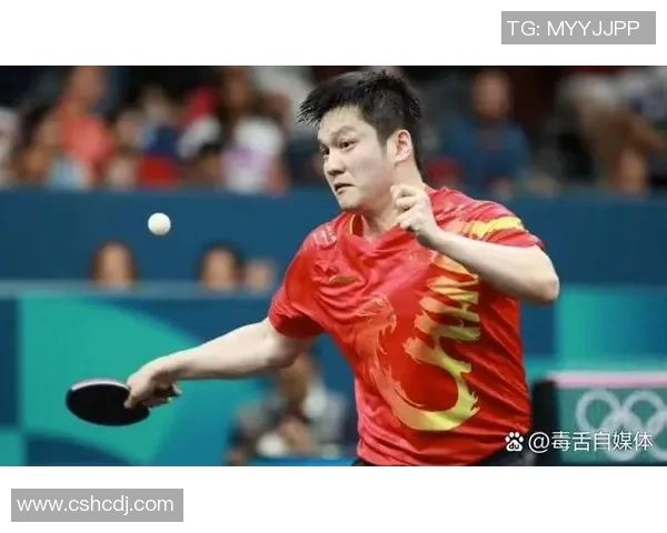 乒乓球战术排行榜揭晓深圳乒乓球队荣获第四名成就辉煌