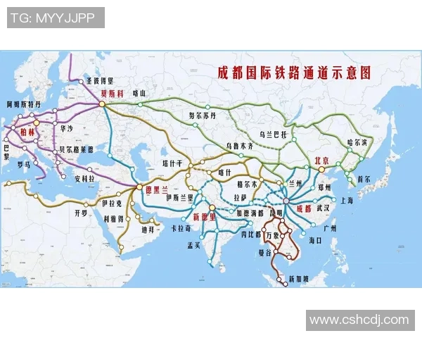世锦赛特别报道：成都羽毛球队如何实现全面转型与突破之路