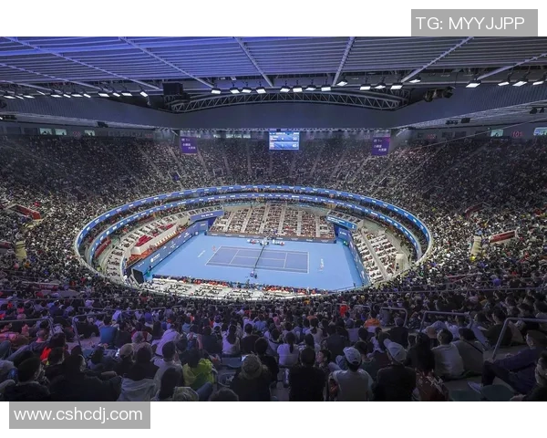 成都网球队创历史新高网球速度排名再创新纪录引发关注