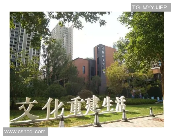 成都足球队的奋斗与荣耀：城市联赛中的崛起之路与未来展望