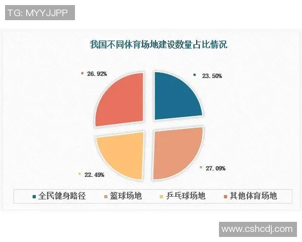 杭州羽毛球队比赛经验深度对比分析及其对未来发展的影响探讨