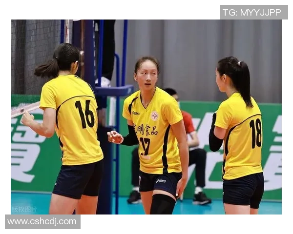 重庆排球队的节奏解析与发展趋势探讨 重庆排球队的节奏解析与发展趋势探讨