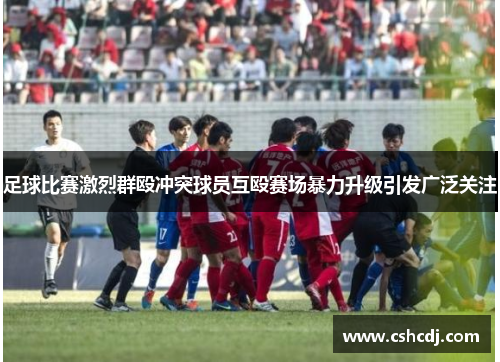 足球比赛激烈群殴冲突球员互殴赛场暴力升级引发广泛关注