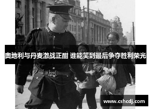 奥地利与丹麦激战正酣 谁能笑到最后争夺胜利荣光