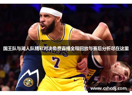 国王队与湖人队精彩对决免费直播全程回放与赛后分析尽在这里