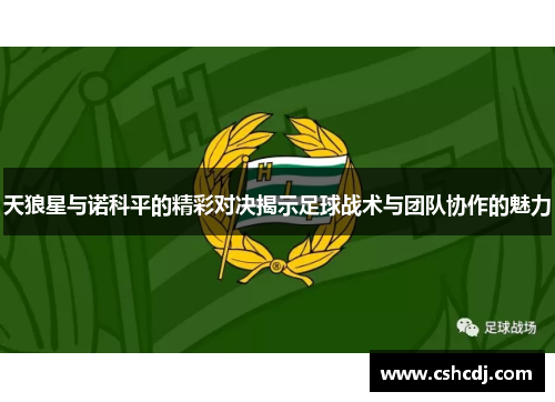 天狼星与诺科平的精彩对决揭示足球战术与团队协作的魅力